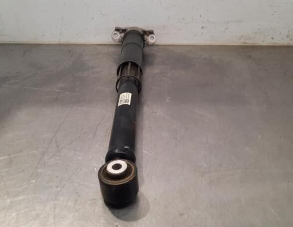 Shock Absorber SKODA SCALA (NW1)