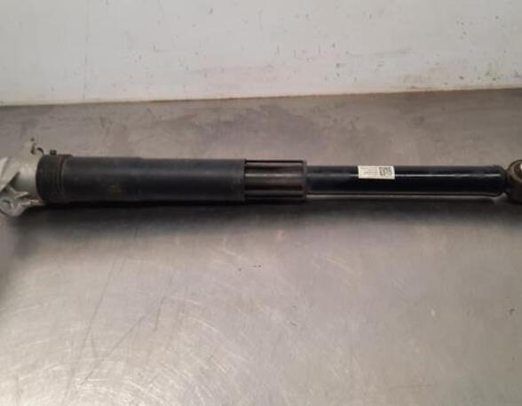 Shock Absorber SKODA SCALA (NW1)