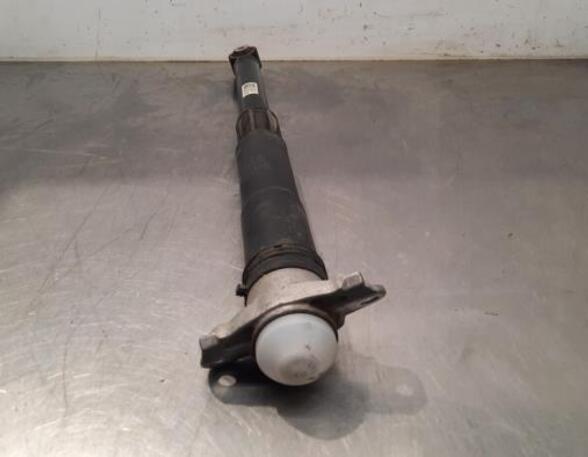 Shock Absorber SKODA SCALA (NW1)