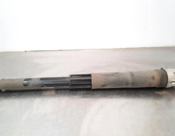 Shock Absorber SKODA SCALA (NW1)