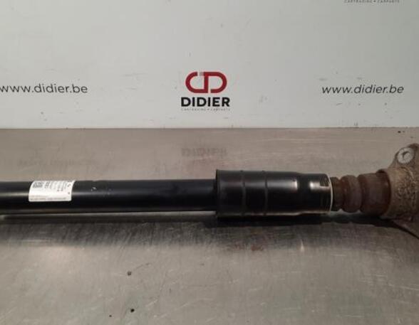 Shock Absorber AUDI Q5 (FYB, FYG)