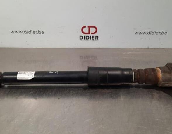 Shock Absorber AUDI Q5 (FYB, FYG)