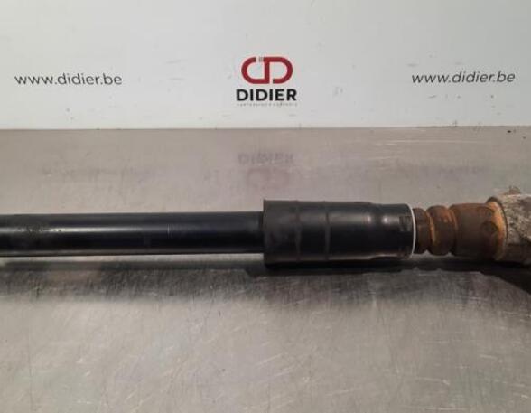 Shock Absorber AUDI Q5 (FYB, FYG)