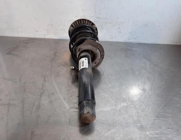 Shock Absorber BMW 1 (F20)