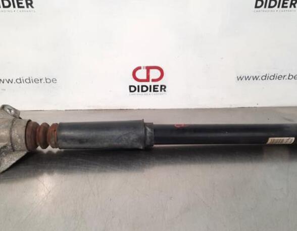 Shock Absorber AUDI A4 Avant (8K5, B8)