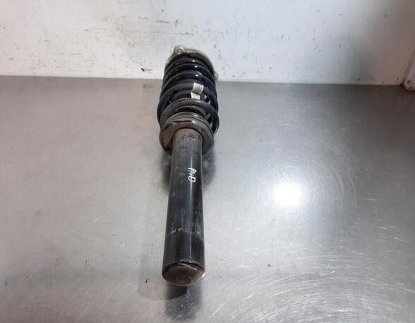 Shock Absorber VOLVO XC60 II (246)