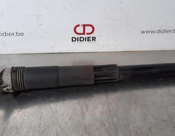 Shock Absorber VW GOLF VII (5G1, BQ1, BE1, BE2)