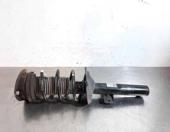 Shock Absorber SKODA SCALA (NW1)