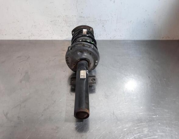 Shock Absorber SKODA SCALA (NW1)