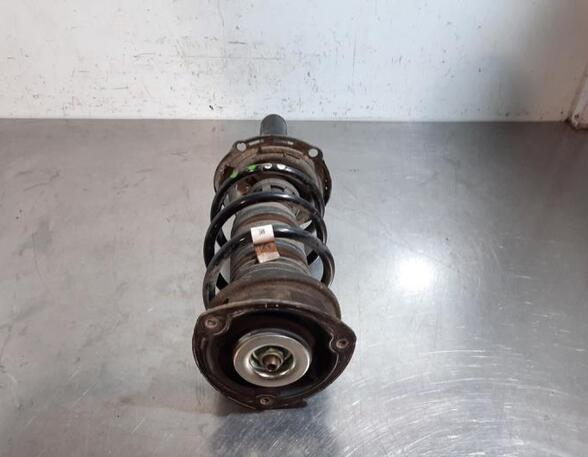 Shock Absorber SKODA SCALA (NW1)