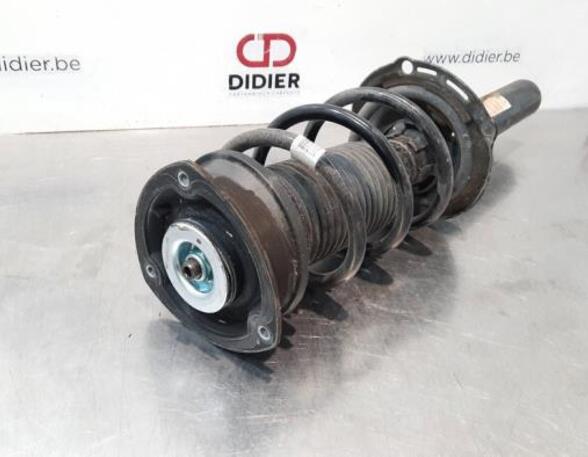 Shock Absorber VW GOLF VIII (CD1)