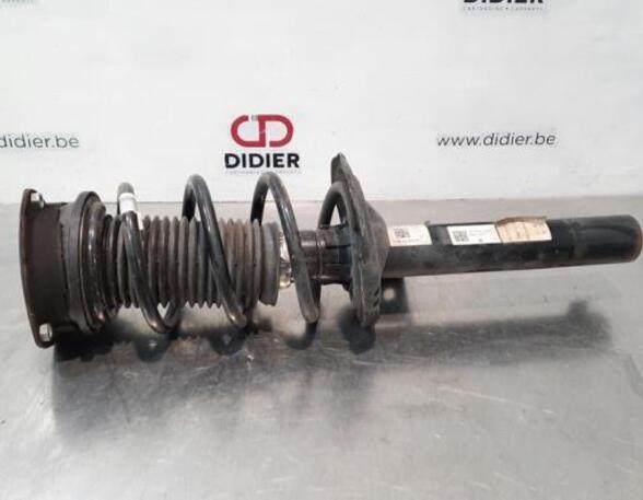 Shock Absorber VW GOLF VIII (CD1)