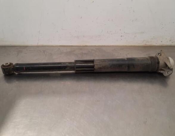 Shock Absorber SKODA SCALA (NW1)