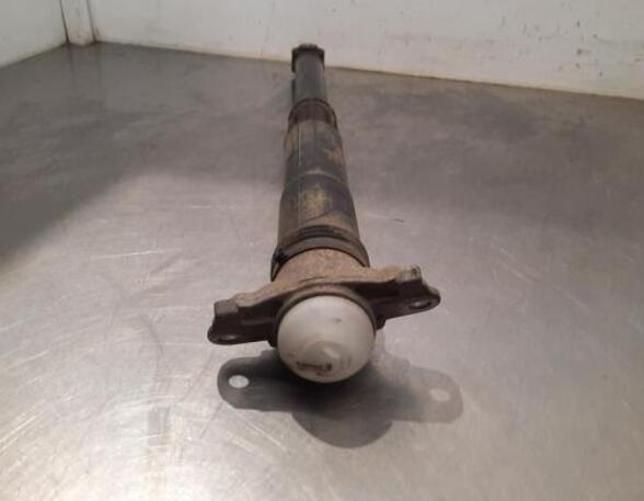 Shock Absorber SKODA SCALA (NW1)