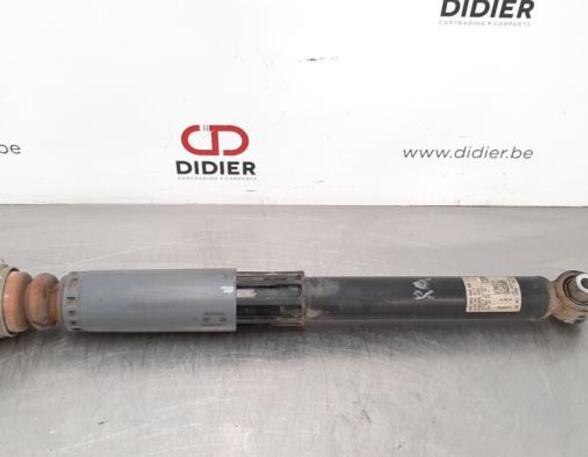 Shock Absorber AUDI A3 Convertible (8V7, 8VE)