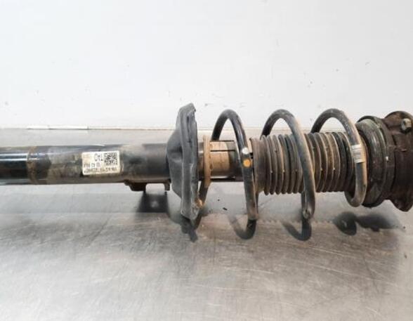 Shock Absorber SKODA KAROQ (NU7, ND7)