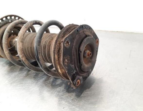 Shock Absorber RENAULT KANGOO Express (FW0/1_)