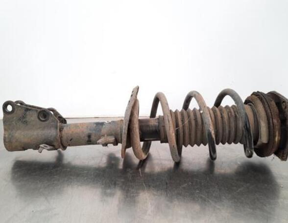 Shock Absorber RENAULT KANGOO Express (FW0/1_)