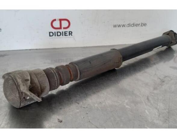 Shock Absorber AUDI A6 Avant (4G5, 4GD, C7)