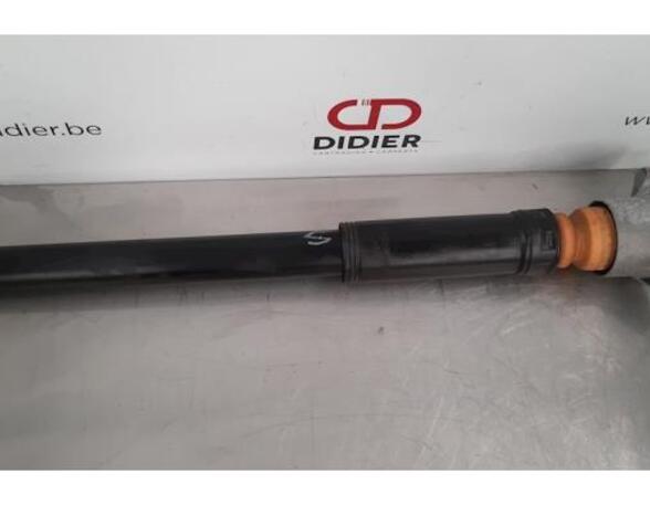 Shock Absorber MERCEDES-BENZ E-CLASS Convertible (A207)