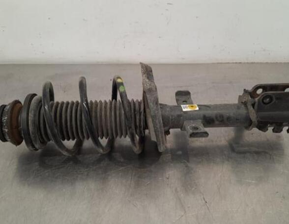 Shock Absorber RENAULT CLIO V (B7_)