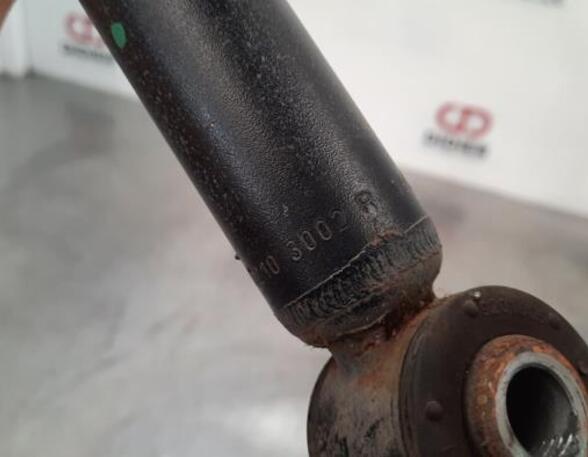 Shock Absorber RENAULT CLIO V (B7_)