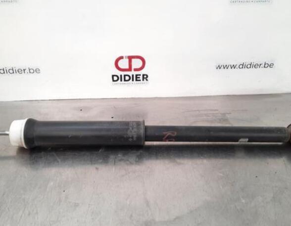 Shock Absorber RENAULT CLIO V (B7_)