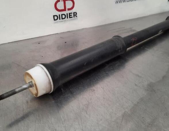 Shock Absorber RENAULT CLIO V (B7_)