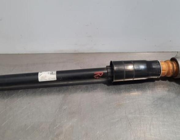 Shock Absorber AUDI A7 Sportback (4KA)