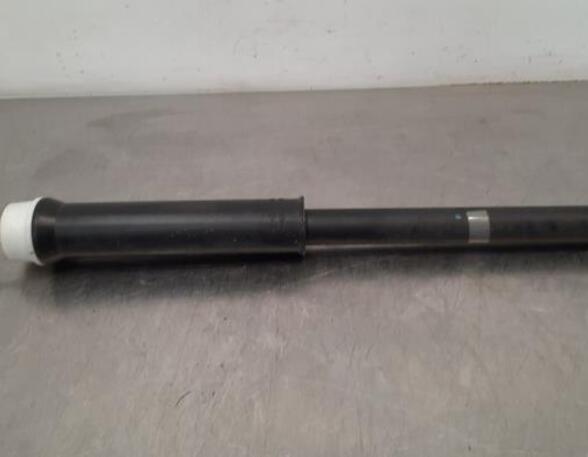 Shock Absorber RENAULT CLIO V (B7_)