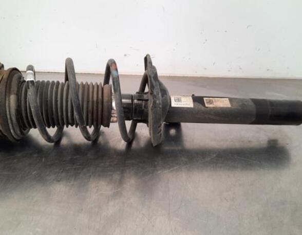 Shock Absorber SKODA OCTAVIA III (5E3, NL3, NR3)