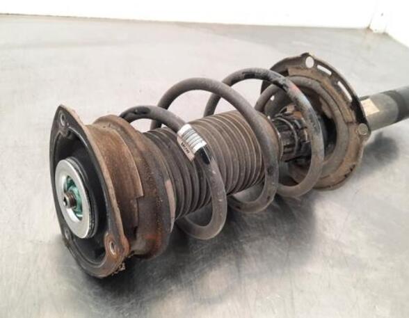 Shock Absorber SKODA OCTAVIA III (5E3, NL3, NR3)