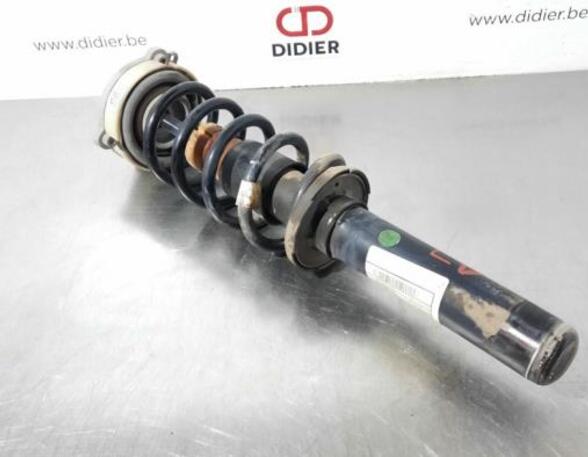 Shock Absorber AUDI Q5 (FYB, FYG)