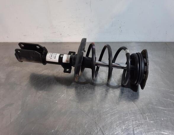 Shock Absorber RENAULT MEGANE III Coupe (DZ0/1_)