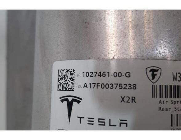 Stoßdämpfer rechts hinten Tesla Model X 5YJX 102746100G P13262678