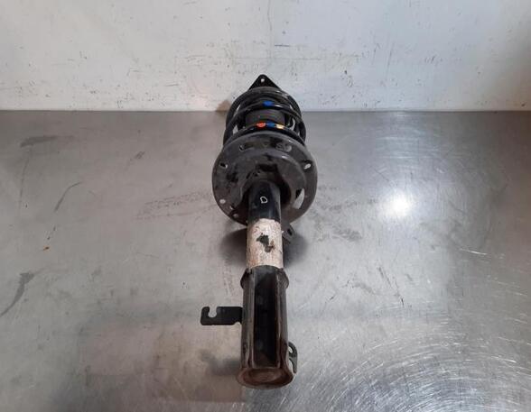 Shock Absorber CITROËN C4 III (BA_, BB_, BC_)