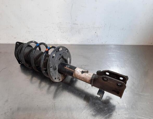 Shock Absorber CITROËN C4 III (BA_, BB_, BC_)