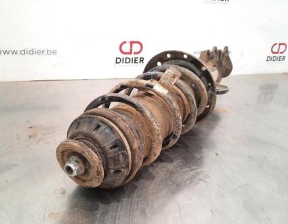 Shock Absorber FIAT TIPO Estate (356_), FIAT TIPO Hatchback (356_)