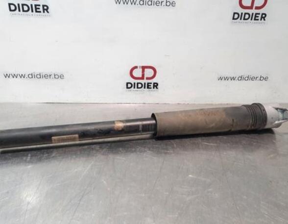 Shock Absorber MERCEDES-BENZ A-CLASS (W177)