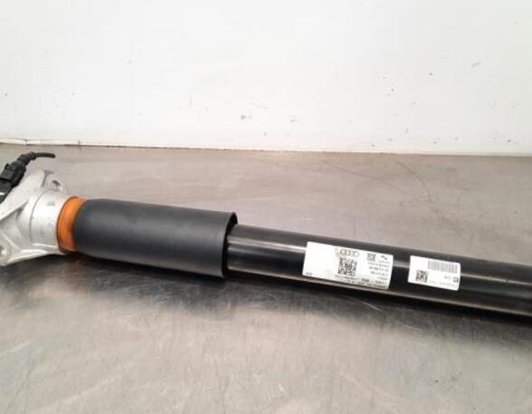 Shock Absorber AUDI E-TRON (GEN)