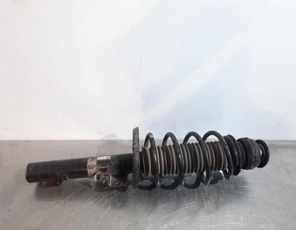 Shock Absorber SKODA ROOMSTER (5J7), SKODA ROOMSTER Praktik (5J)