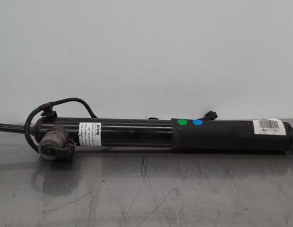 Shock Absorber DS DS 4 II (F_, FB_, F3_)