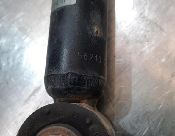 Shock Absorber RENAULT CLIO V (B7_)