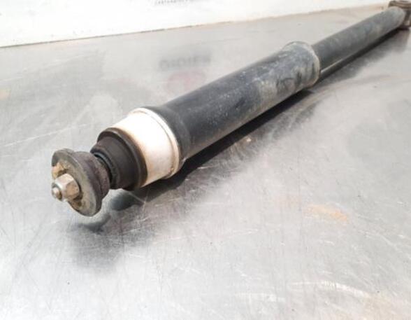 Shock Absorber RENAULT CLIO V (B7_)