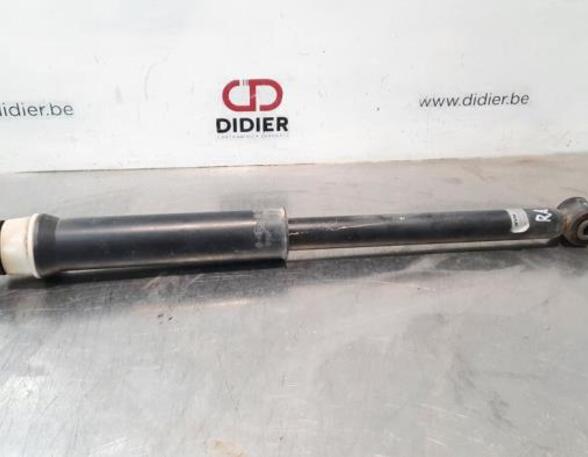 Shock Absorber RENAULT CLIO V (B7_)