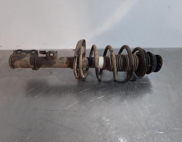 Shock Absorber KIA SOUL (AM)