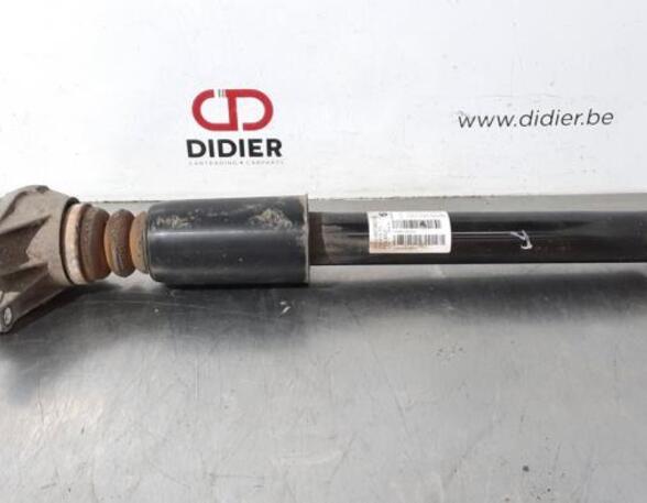 Shock Absorber BMW 3 Touring (F31)