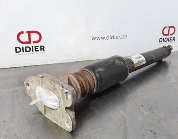 Shock Absorber BMW 3 Touring (F31)