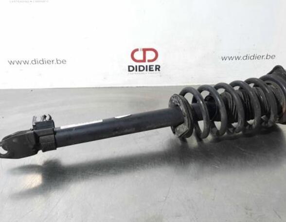 Shock Absorber MERCEDES-BENZ C-CLASS Convertible (A205)