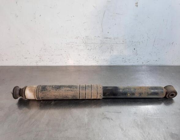 Shock Absorber RENAULT CLIO III (BR0/1, CR0/1), RENAULT CLIO IV (BH_)